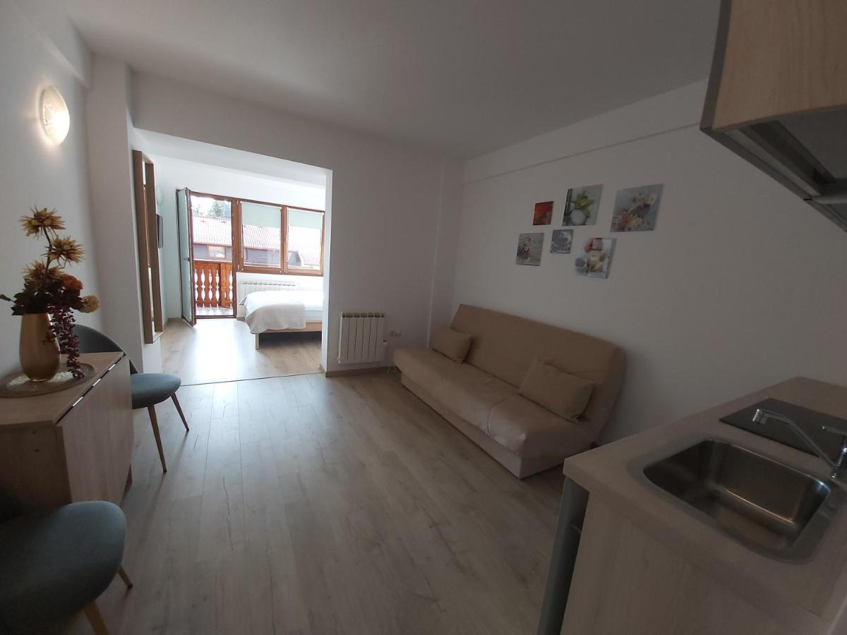 Studio Montana Poiana Brasov Luaran gambar