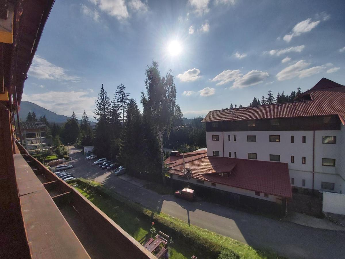 Studio Montana Poiana Brasov Luaran gambar