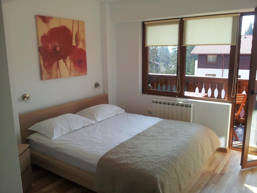 Studio Montana Poiana Brasov Luaran gambar