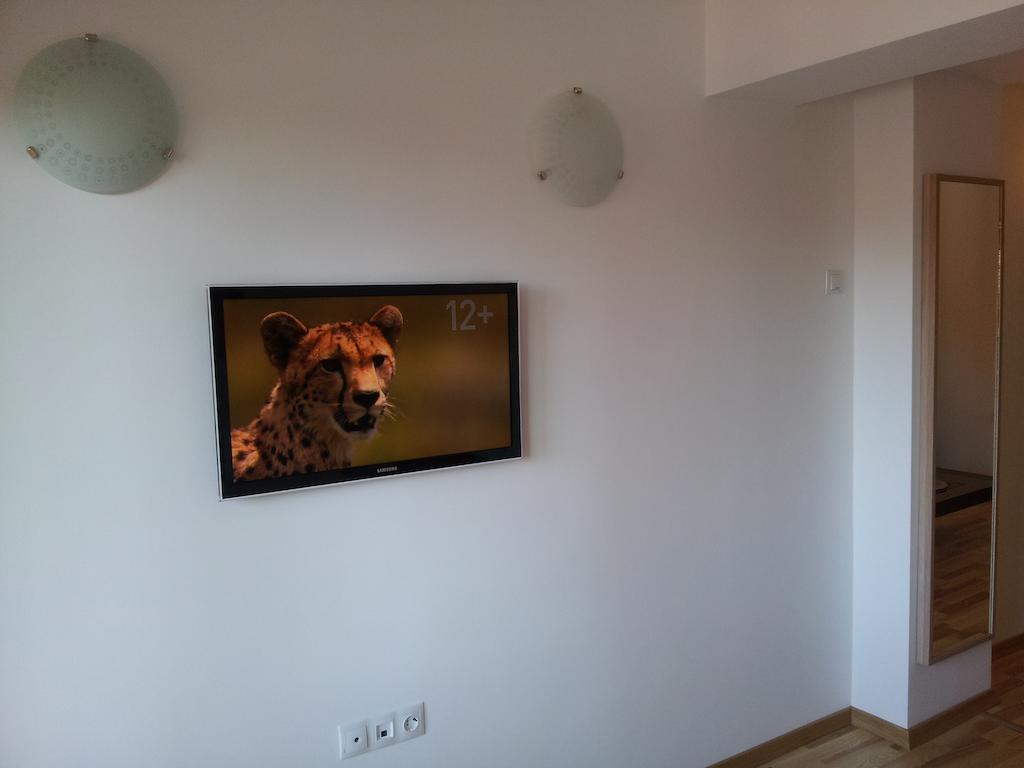 Studio Montana Poiana Brasov Bilik gambar